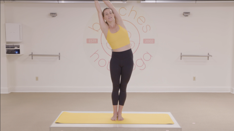Preview image for video showing cats